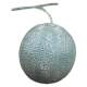 Han Xuanmiaoyi simulated fruit and vegetable large plastic cantaloupe