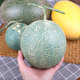 Han Xuanmiaoyi simulated fruit and vegetable large plastic cantaloupe