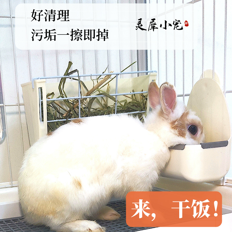 宠物喂食器兔子食盆饭碗防打翻防扒食盒荷兰猪食槽豚鼠防啃咬马卡 - 图2