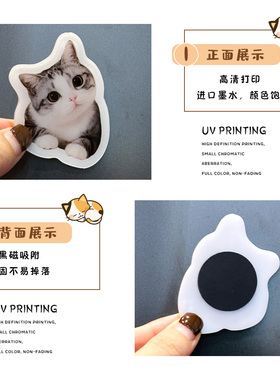 亚克力冰箱贴定制宠物猫咪小狗照片磁吸来图diy定做3d立体高级感