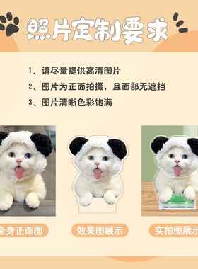 宠物猫咪桌面摇头摆件定制照片diy摇摇乐小狗狗办公桌装饰品可爱