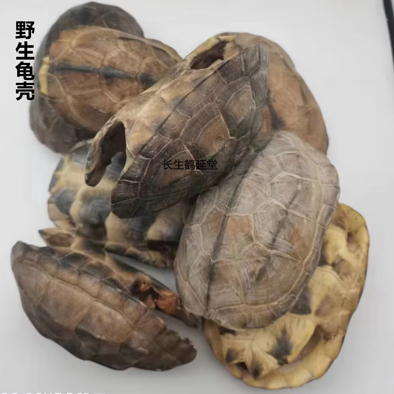 中药材整个龟甲龟板 带壳带板 草龟68元一个镇.新宅草龟板