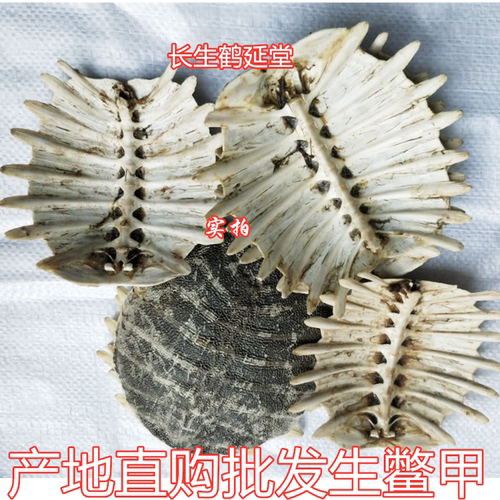 鳖甲中药材 生鳖甲鳖壳 鳖上甲500克75元包邮 需要磨鳖甲粉请留言 - 图0
