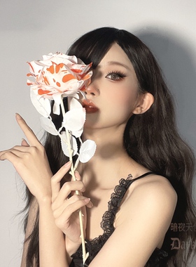 白色拍照道具单支花束