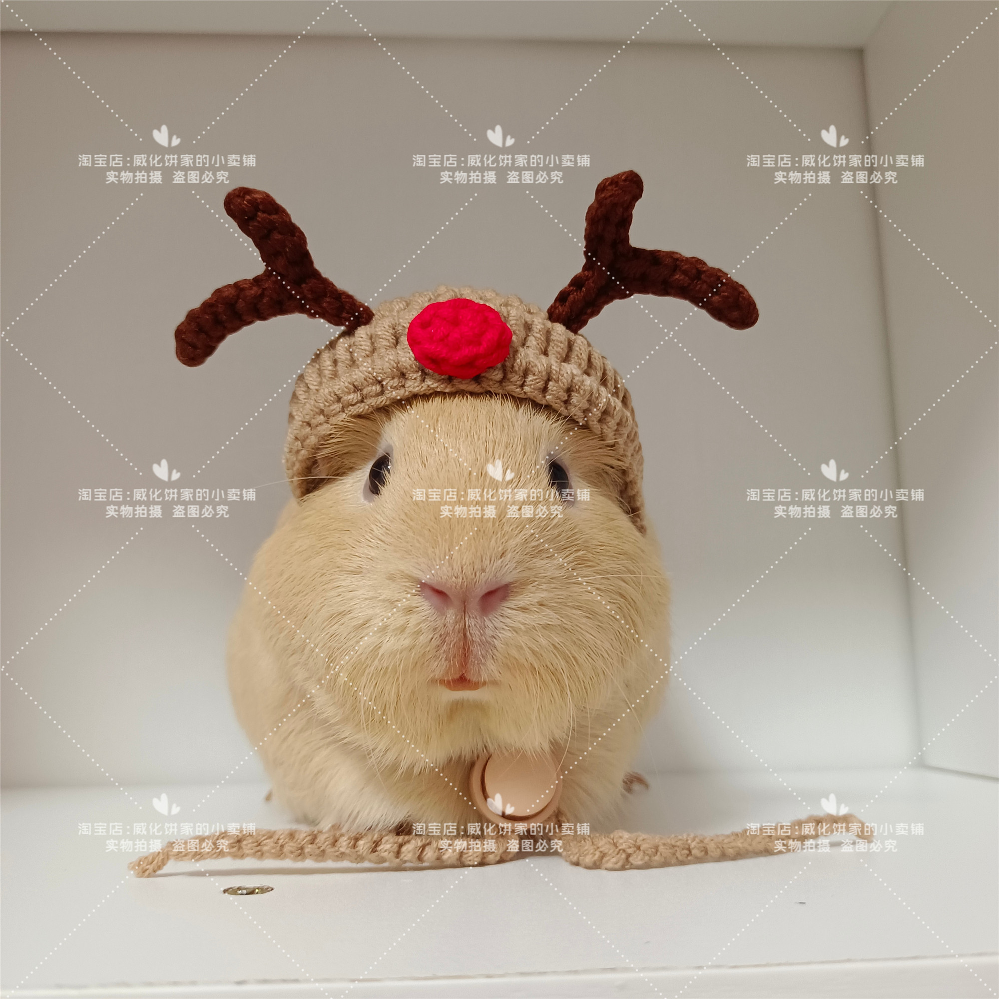 【威化饼家】圣诞帽 仓鼠帽子金丝熊花枝鼠豹纹守宫豚鼠宠物拍照,淘宝优惠券,粉丝福利购,淘宝优惠卷