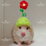 [Дом Торт Вейхуа] Цветочная шляпа, Золотой шелковый медвежь