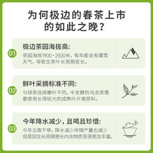 极边2023春茶青心高山有机乌龙茶冷泡礼盒装清香型252g