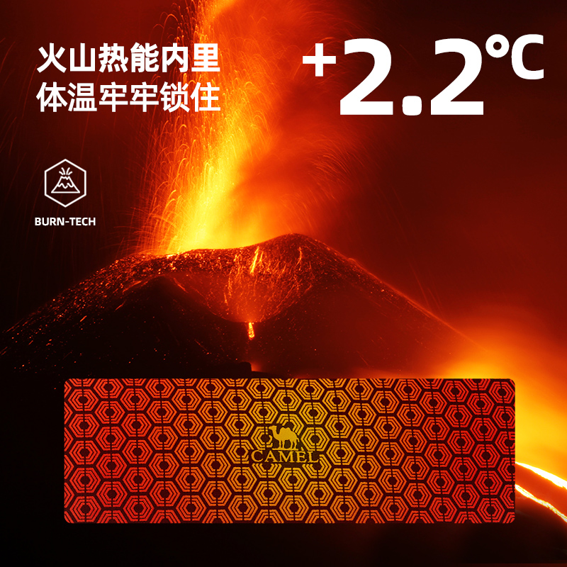  骆驼男装羽绒服