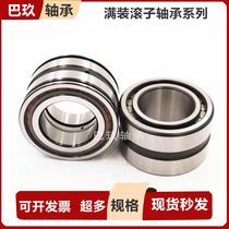 Full equipped cylindrical roller bearings RS NNF SL04 5004 5005 5005 5007 5008 5008 5008 PP NR