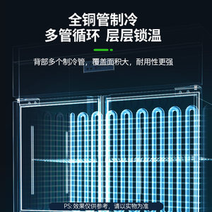 圣托商用大容量冷柜双温冰箱直冷风冷冷藏冷冻保鲜柜双门四门六门