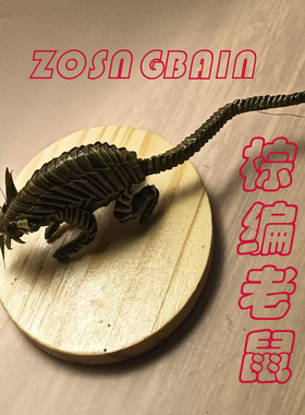 纯正宗粽叶绿色无污染送朋友