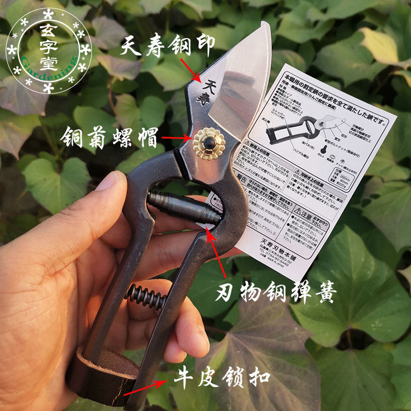 日本原装进口天寿修枝剪安来钢锻造大师专业盆景果树修枝剪定铗 搜又搜 Www Soyouso Com 日本原装进口天寿修枝剪安来钢锻造大师专业盆景果树修枝剪定铗 搜又搜 Www Soyouso Com