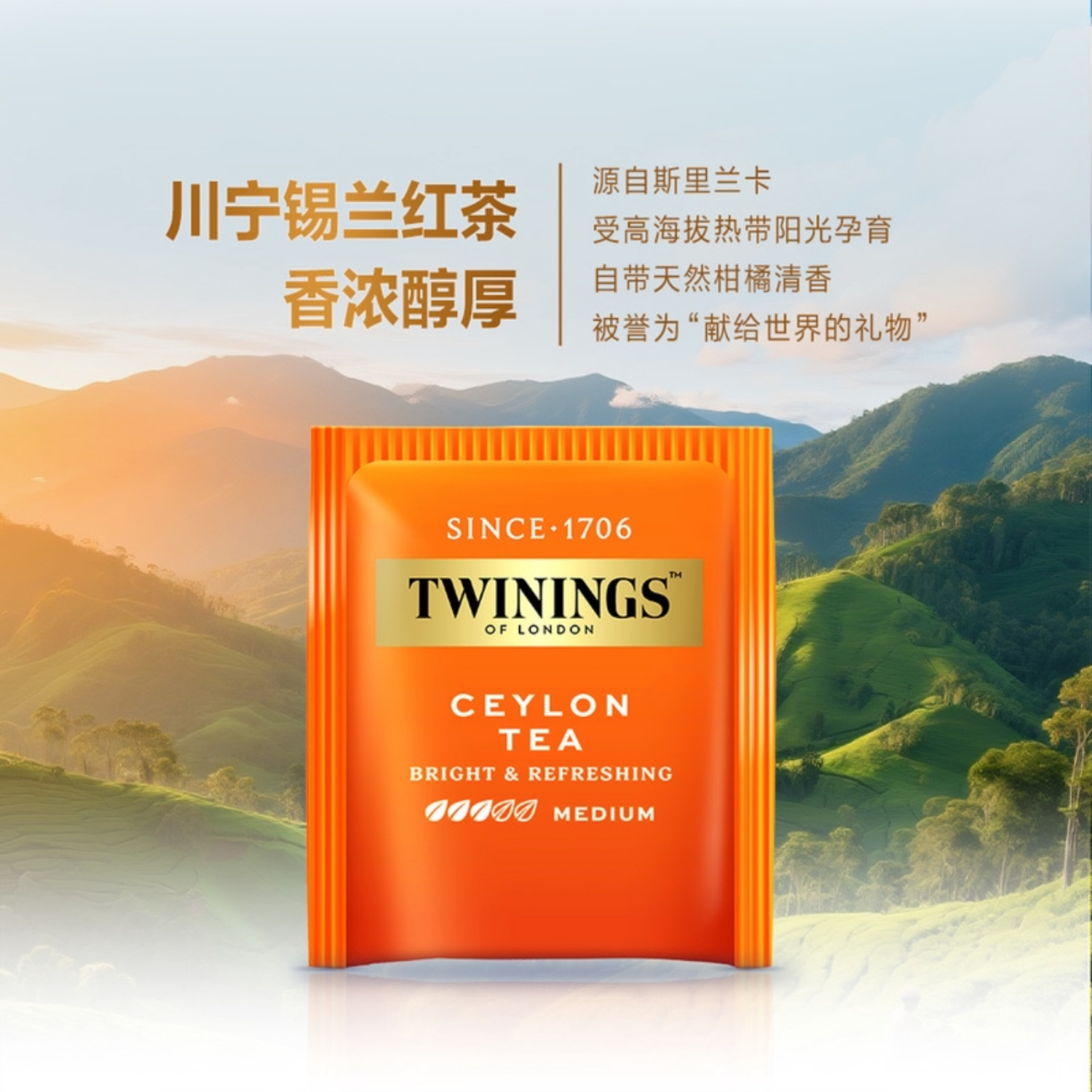 川宁精选产地红茶2*100g袋泡茶锡兰红茶大吉岭红茶超市会员代购,淘宝优惠券,粉丝福利购,淘宝优惠卷