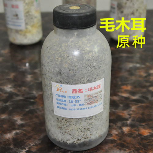 食用菌黑木耳菌种栽培种一级种二级种三级种椴木木头菌种母种试管 - 图2