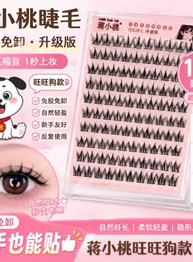蒋小桃孔雀鱼淘气精灵假睫毛分段单簇自然浓密新手素颜漫画大眼睫
