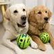 Pet supplies Dogs sound toy balls that are resistant to gnawing teeth to relieve boredom and roll back to training balls