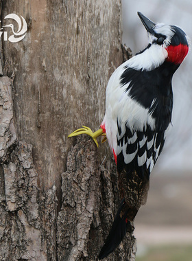 园林家居客厅鸟类创意装饰新品