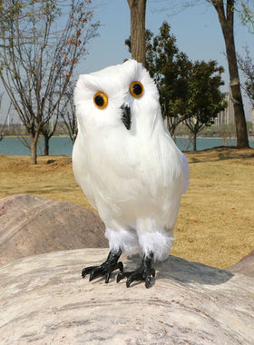 工艺仿真动物模型道具摆件新品