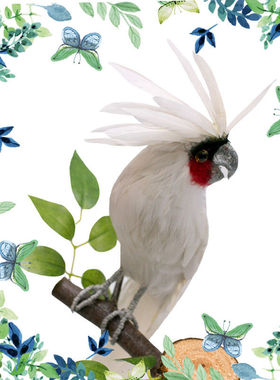 仿真鹦鹉电视柜动物模型工艺品