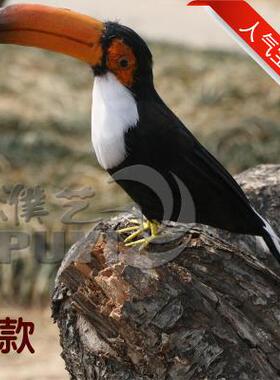 巴西大嘴鸟橱窗客厅玄关装饰摆件