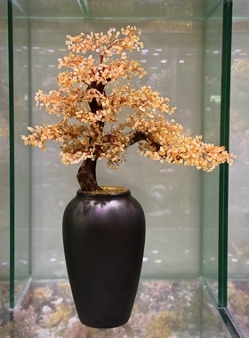 新做一批天然黄水晶迎客松发财树摆件！满枝的黄水晶，能量满满