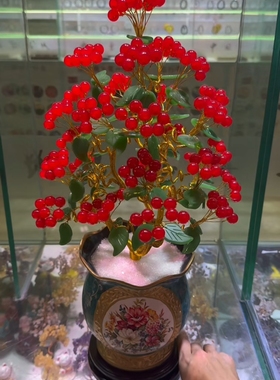 金枝玉叶摇钱树 红玉果硕果累累！花开富贵！