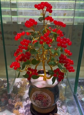 金枝玉叶》摇钱树！ 红玉果硕果累累！花开富贵！