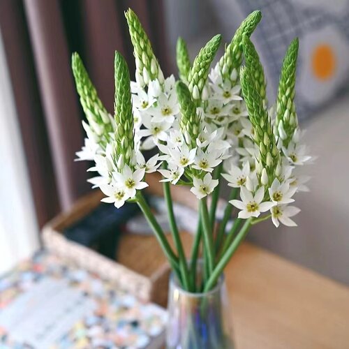 白色圣心百合鲜花鲜切水养雀梅室内水培装饰客厅插花摆台云南直发 - 图2