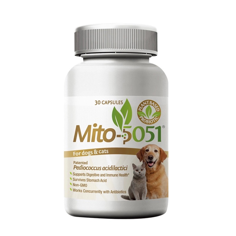 【福老板】美国Mito5051犬猫用益生菌调节肠胃提升免疫力软便颗星 - 图3