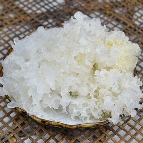 庆元山珍土特产农家椴木银耳干货小朵雪耳长在木头上白木耳食用菌 - 图1