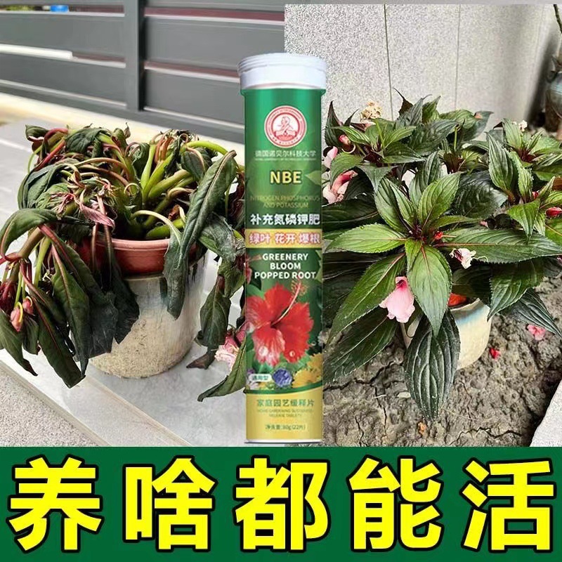 【德国通用型】植物营养缓释片花卉绿植多肉通用型氮磷钾复合肥料 - 图3