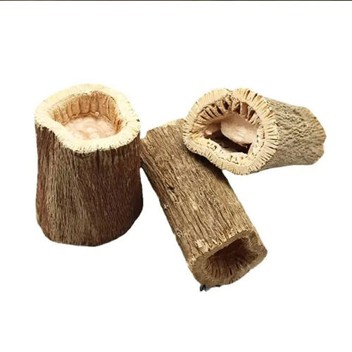 磨牙木瓜墩兔子龙猫荷兰猪零食烘干木瓜树墩磨牙棒鹦鹉鸟磨嘴玩具 - 图3