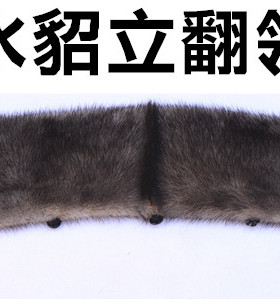 双排扣水貂毛领子男立方领立翻领