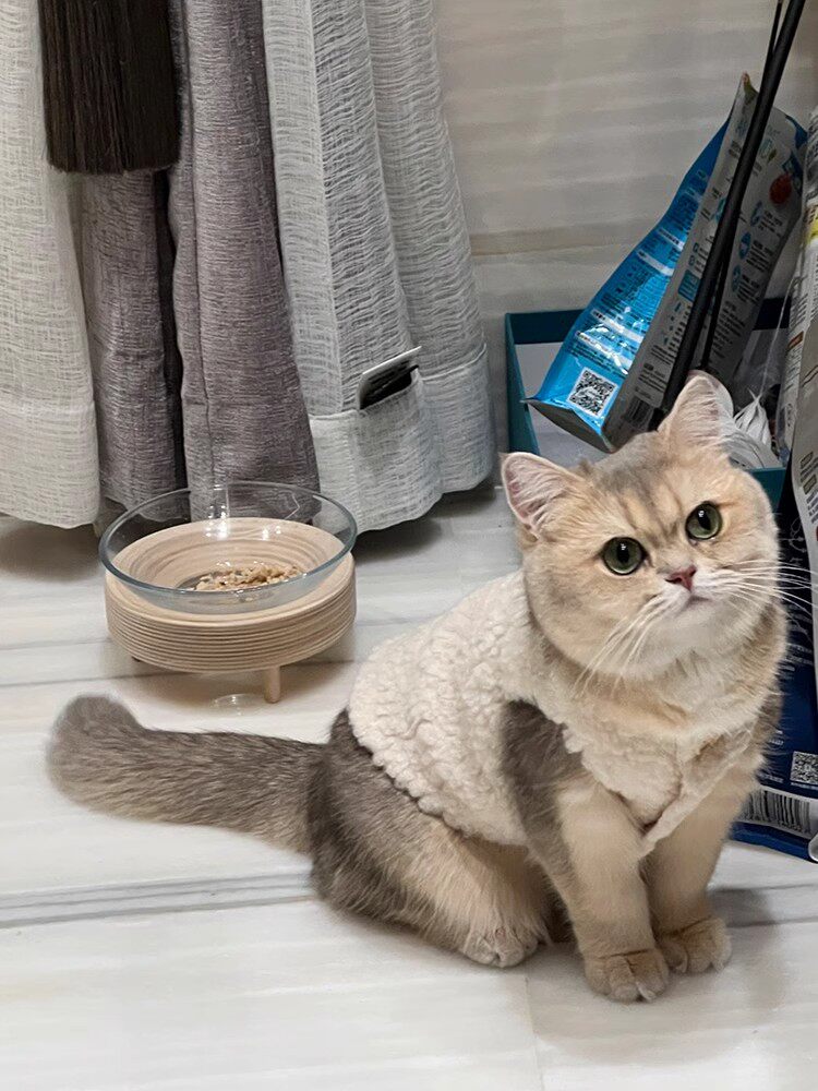 宠物猫咪衣服可爱加绒加厚保暖布偶英短蓝猫羊羔毛狗狗背心秋冬款,淘宝优惠券,粉丝福利购,淘宝优惠卷