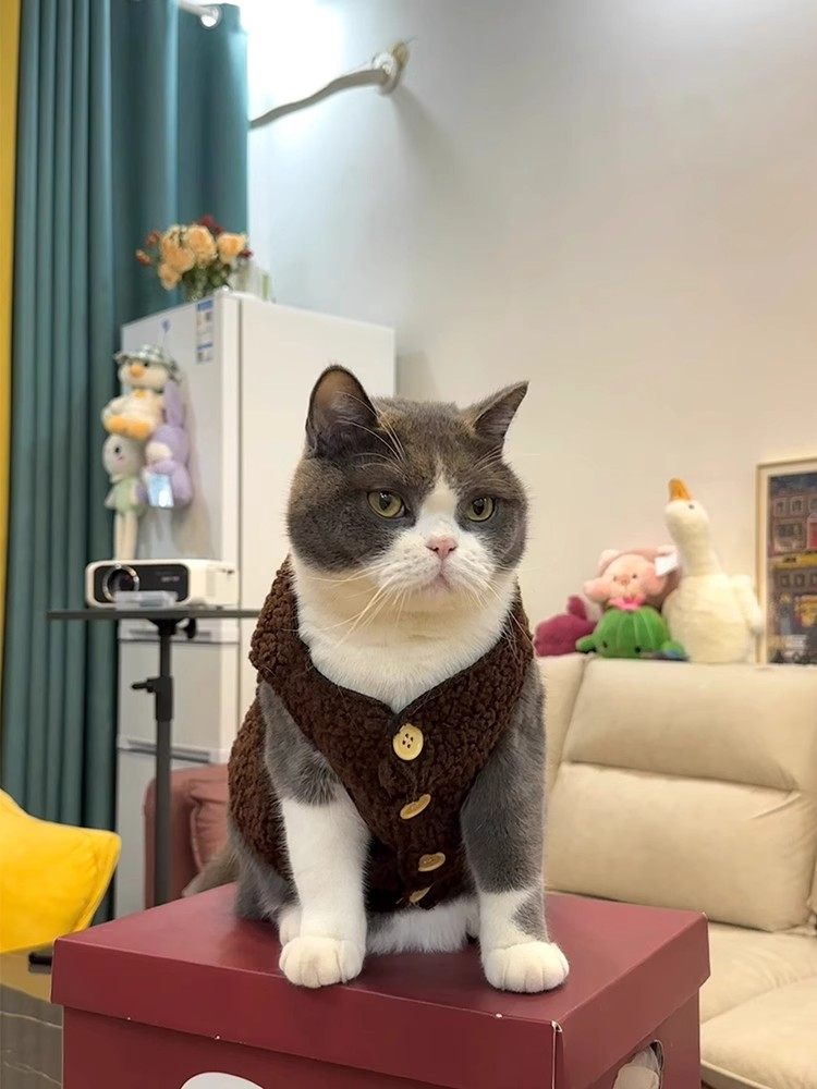 宠物猫咪衣服可爱加绒加厚保暖布偶英短蓝猫羊羔毛狗狗背心秋冬款,淘宝优惠券,粉丝福利购,淘宝优惠卷