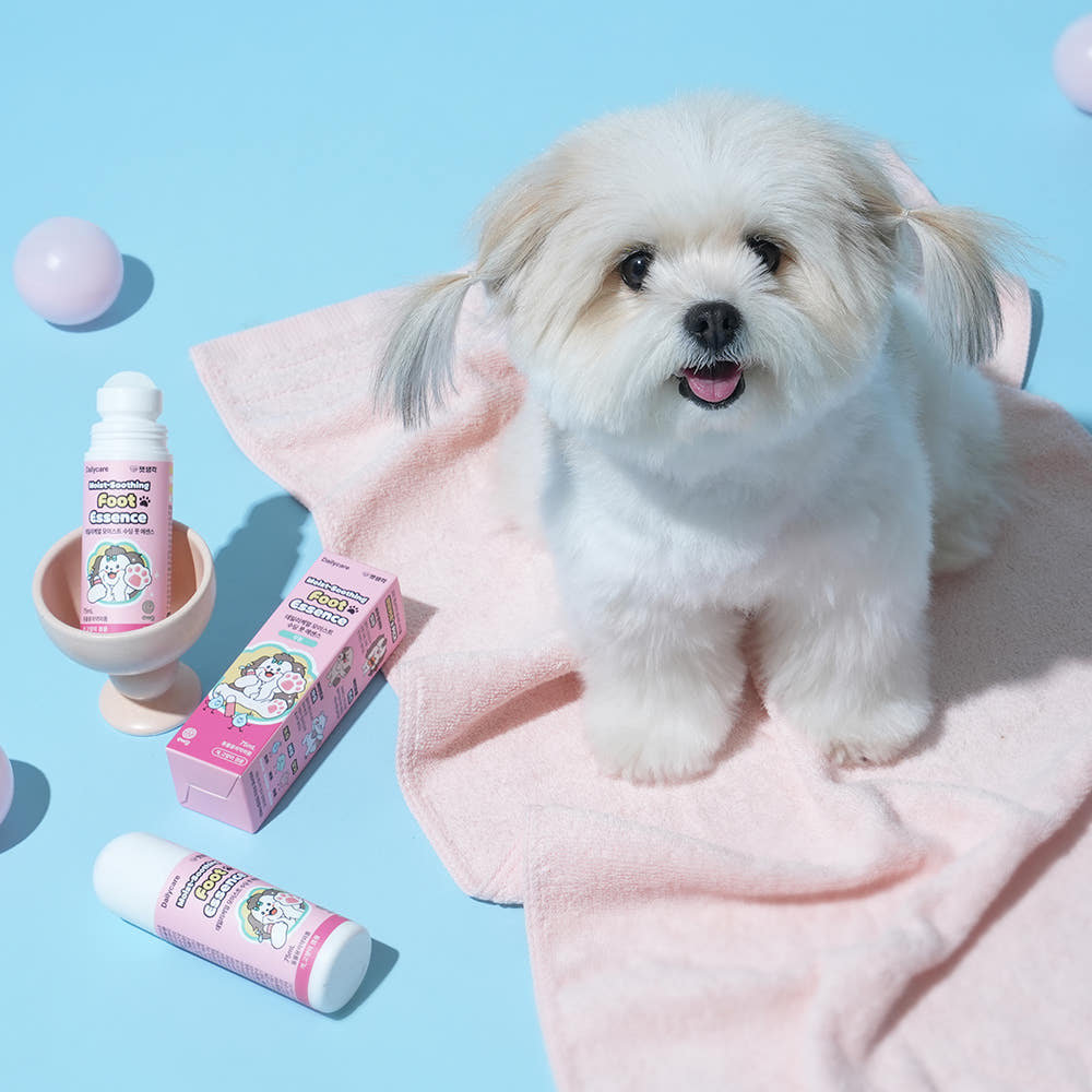 「Lazy Pet」韩国thinkpets宠物猫狗脚掌滋润清爽镇定保湿护理膏,淘宝优惠券,粉丝福利购,淘宝优惠卷