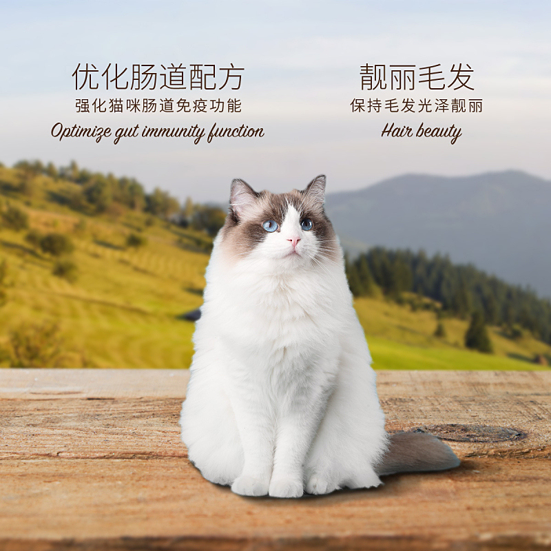 Petmaster佩玛思特成猫粮1.6kg优化肠道英美短天然抗氧化非转基因 - 图2