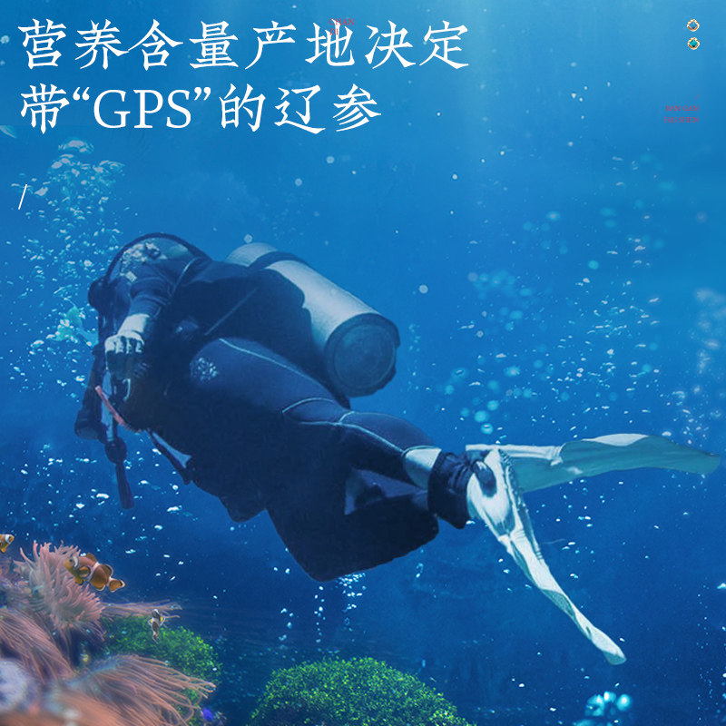  北京同仁堂健康干品/即食海参