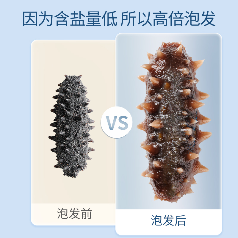 北京同仁堂海参净制干海参100g礼盒 北京同仁堂健康干品/即食海参