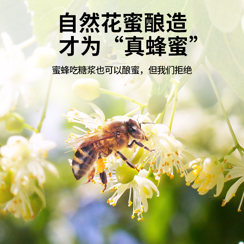 北京同仁堂椴树蜂蜜300g瓶装天然无添加纯正蜂蜜官方旗舰店正品