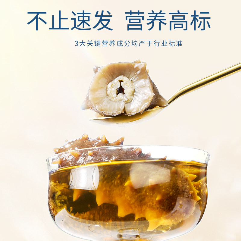 海参礼盒北京同仁堂26克14速发海参 北京同仁堂健康干品/即食海参