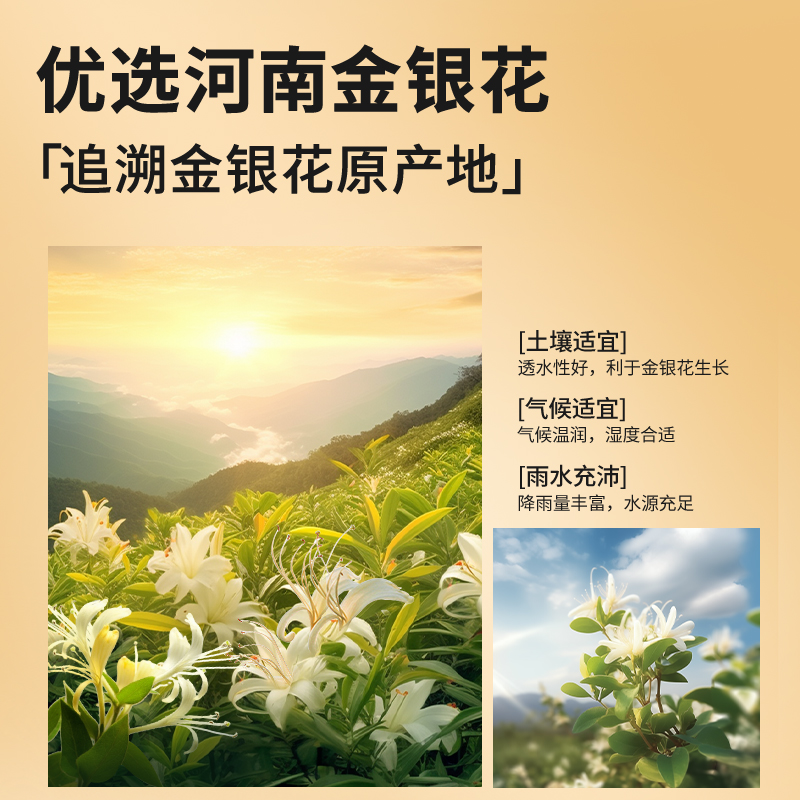 北京同仁堂金银花茶干50g可搭决明子菊花官方旗舰店正品泡水喝 - 图3