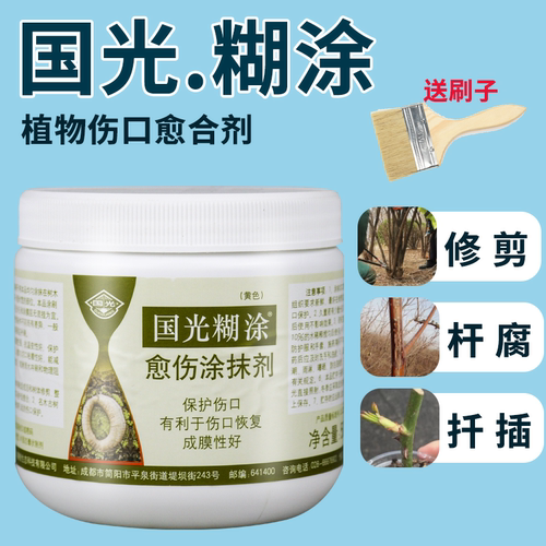国光糊涂植物伤口愈合剂柑橘果树桃树苗木大树移栽修剪树皮修复膏 - 图2