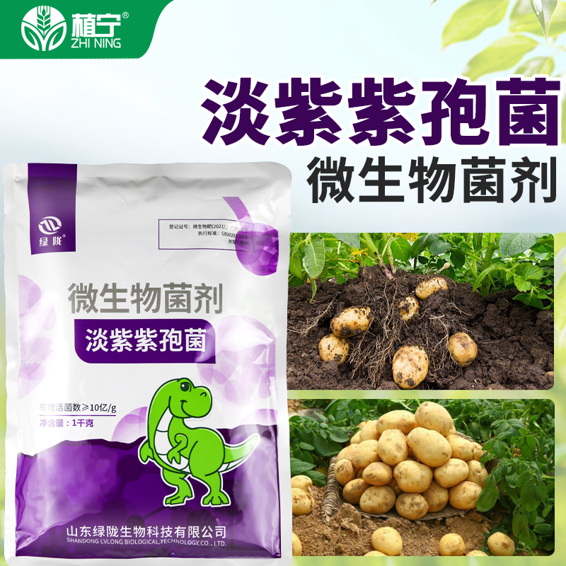 绿陇淡紫紫孢菌微生物菌剂根结线虫有益菌促根护根 淡紫拟青霉1kg - 图0