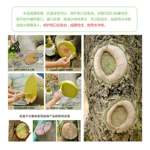 国光糊涂植物伤口愈合剂柑橘果树桃树苗木大树移栽修剪树皮修复膏 - 图0