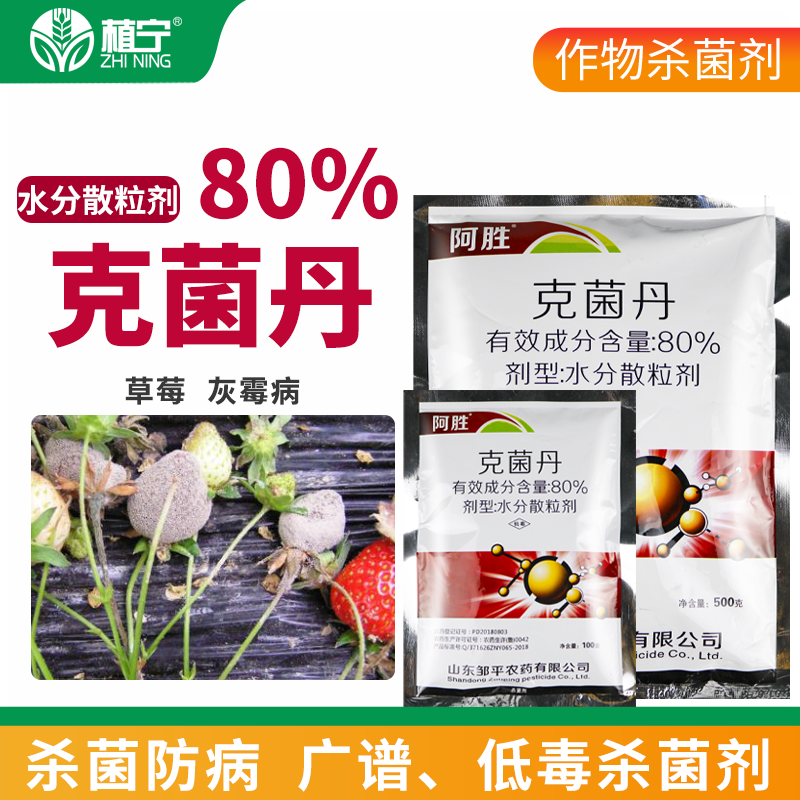 邹平农药阿胜80%克菌丹水分散粒剂草莓灰霉病农药杀菌剂-图2