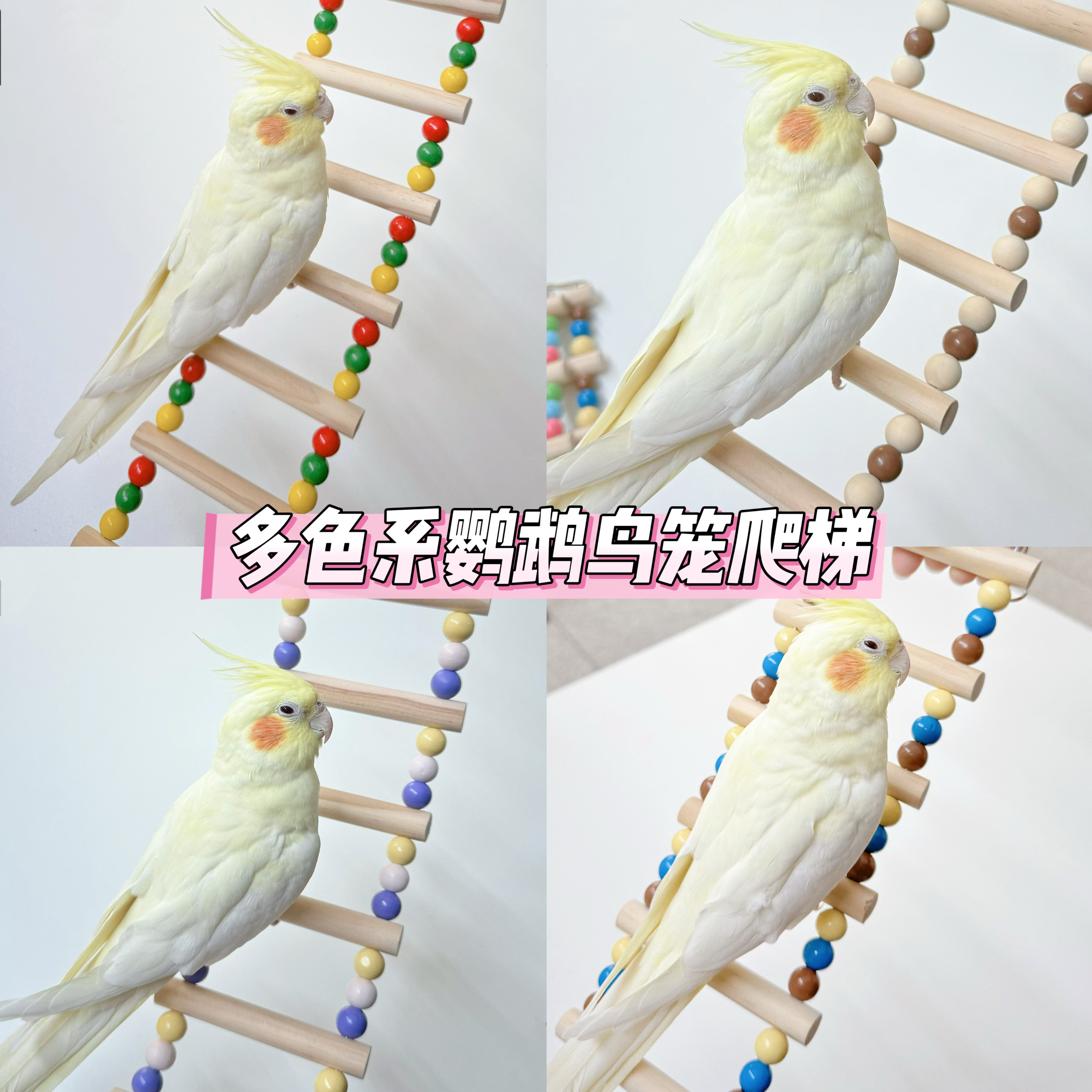 Parrot bird climbing ladder with toy ladder