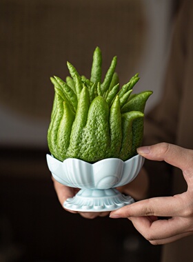 中式禅意莲花佛手柑托盘