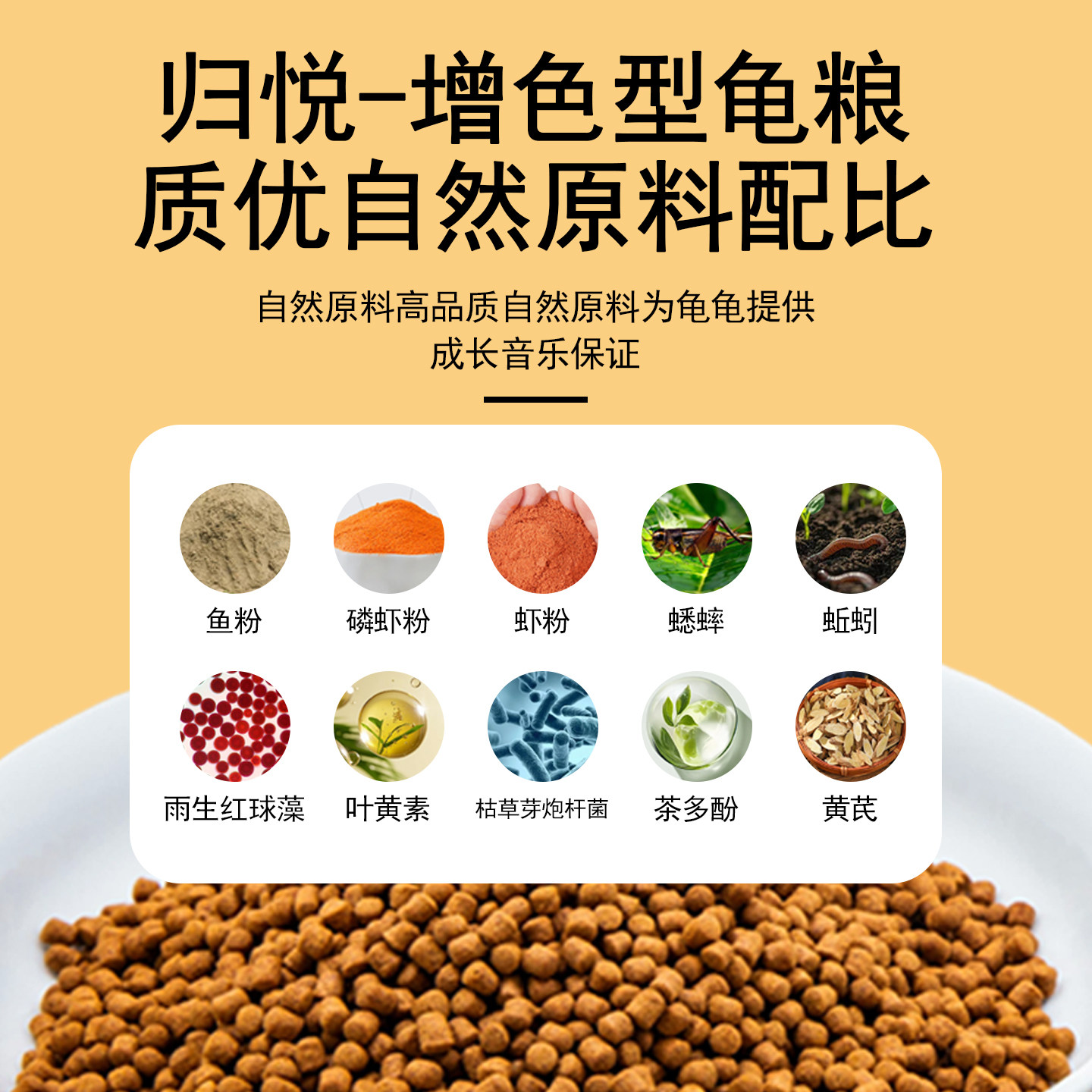 归悦龟粮善玉菌增色草龟黄喉红面蛋龟火焰龟黄缘半水增红乌龟饲料,淘宝优惠券,粉丝福利购,淘宝优惠卷