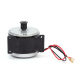 Antelope Little Dolphin ລົດໄຟຟ້າ 24v300w